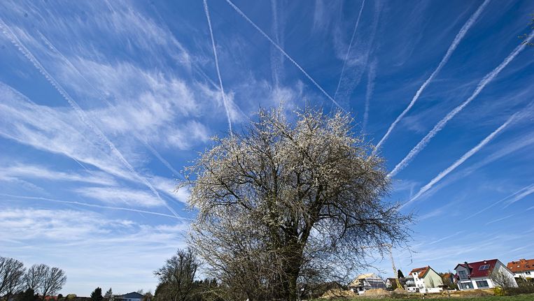 Zijn de witte strepen van vliegtuigen in de lucht dan toch schadelijk? | De  Morgen