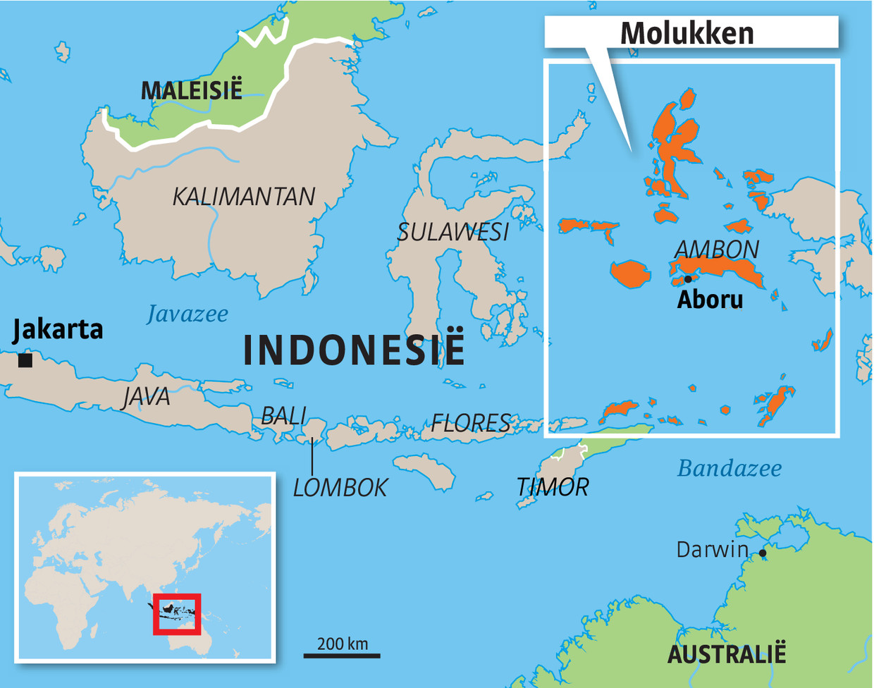 Dodental na aardbeving op Molukken  loopt op Het Parool