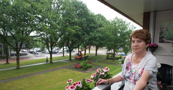 Zelfs de bestrijder heeft bultjes van eikenprocessierups
