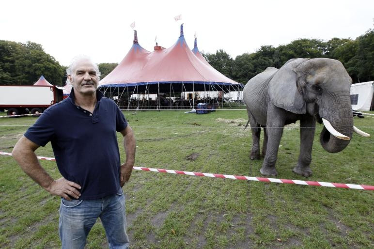 Fonkelnieuw Circusolifant deel van familie | Foto | destentor.nl ZE-51