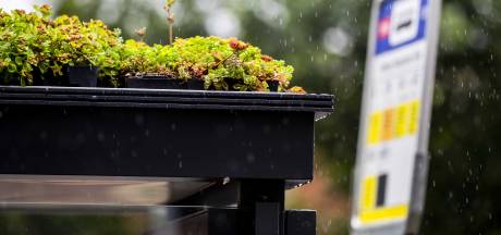 Den Haag Onderzoekt Mogelijkheden Van Groene Daken Tram En Bushokjes Den Haag Ad Nl