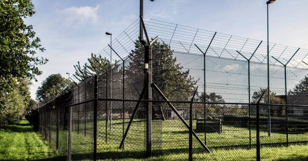 Extra stroomhek rond Nijmeegse tbs-kliniek tegen ontsnappingen - AD.nl
