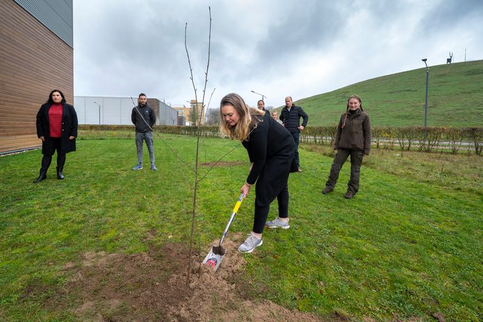 Wethouder Cathelijne Bouwkamp plant een van de boompjes op bedrijventerrein IJsseloord II.