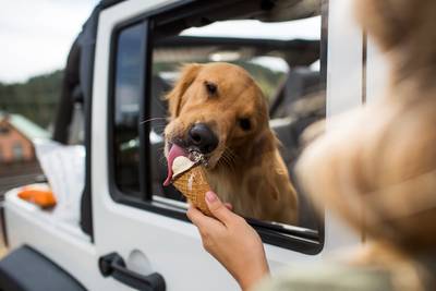 Een hoorntje voor jou en een bolletje voor Fifi: Ben & Jerry’s verkoopt ijs voor honden