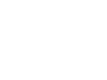 VTM 4