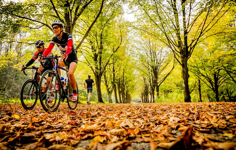 Man ernstig gewond na botsing met boomstam op fietspad