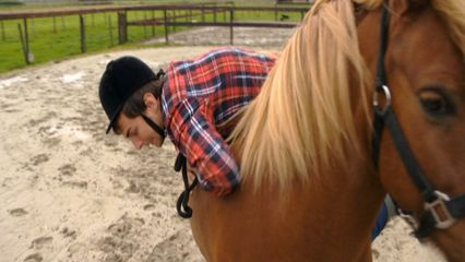 2. Paardentemmer