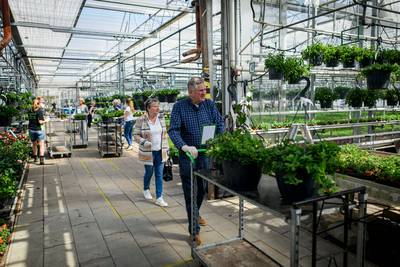 Kwekerij Linthorst in Diepenheim zet de bloemetjes buiten, óók tijdens de coronacrisis