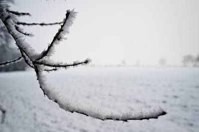 Vorst op komst in Oost-Nederland: gladde wegen en misschien sneeuw