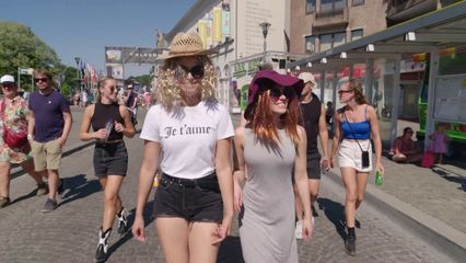 6. Vleugels