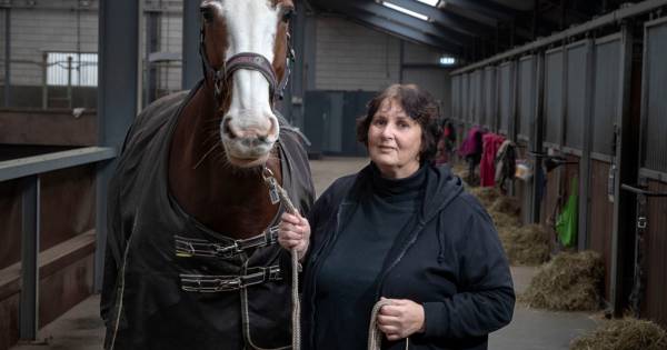 Manege De Stap in De Mortel een 'plek waar iedereen zich thuis kan voelen' - Eindhovens Dagblad