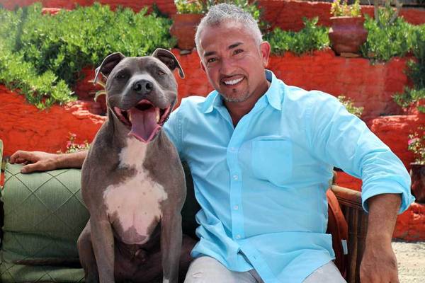 Cesar Millan Doggie Nightmares