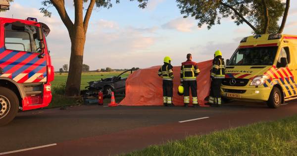 Man overleden na botsing tegen boom bij Hedel