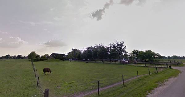 Montferland zegt forse dwangsommen aan voor illegale gebouwen Loerbeek