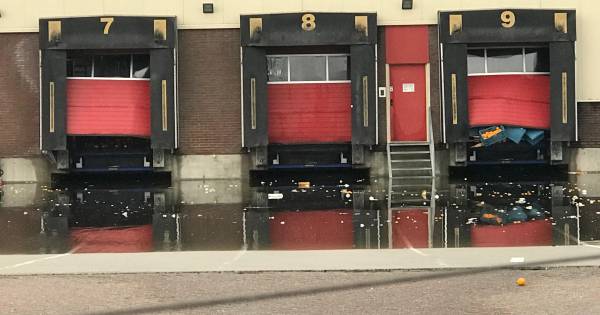 Grote schade bij bedrijven in Hedel: daken bezwijken onder vele regenwater