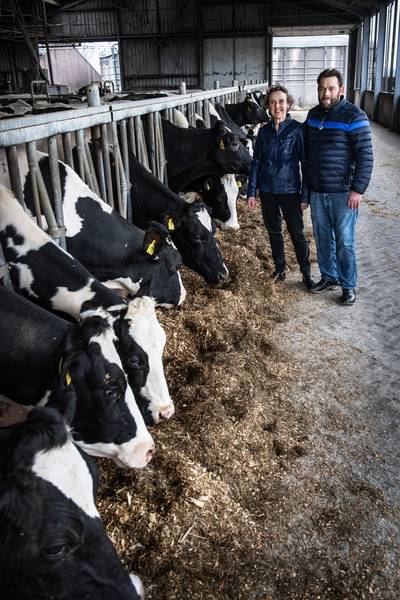 Hoe zien boeren de toekomst in de Ooijpolder? ‘Over een paar jaar staan hier geen koeien meer’