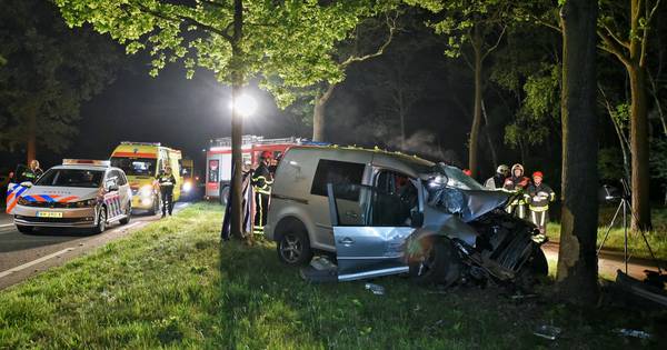 Automobilist overlijdt na frontale botsing in Diessen | Brabant - Eindhovens Dagblad