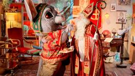 Chinchilla krijgt tapas van Sinterklaas