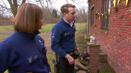 Aflevering 17