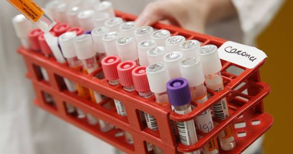 CBS: aantal overledenen in Noord-Brabant neemt minder hard toe - BD.nl