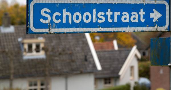 Man terroriseert 'al 30 jaar' buurt in Gameren en wordt verdacht van poging doodslag: 90 dagen lange