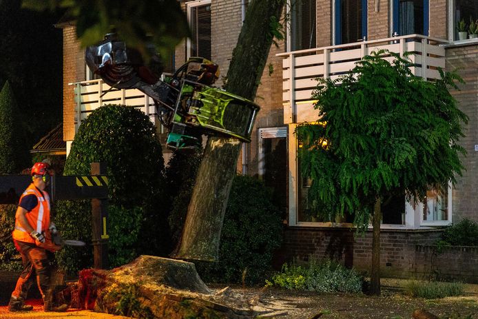 Noodweer in Brabant: wateroverlast, omgewaaide bomen en Geen gewonden door noodweer in Weert | Foto | bndestem.nl