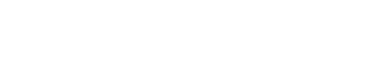 Undercover : une histoire vraie