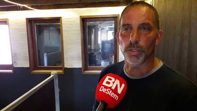 Revalidatie zonder medicatie in Kuuroord voor paarden bij Stal Wagemakers in Nispen