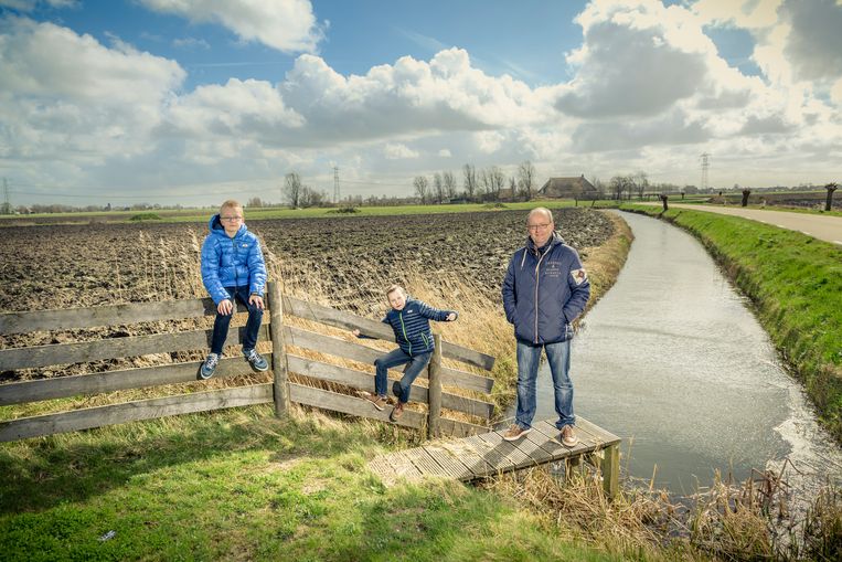 Zonnepanelen? Ja. Maar zoveel? Nee. - Trouw