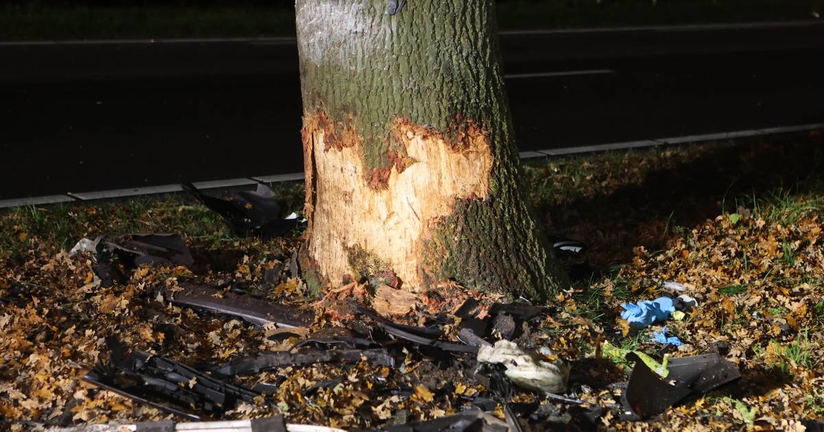 Dodelijk ongeval op de N65 tussen Vught en Helvoirt.