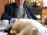 Stads Fratsen: the cat of the young gentleman