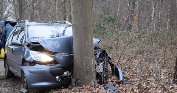 Auto loopt veel schade op door botsing tegen boom in Wehl