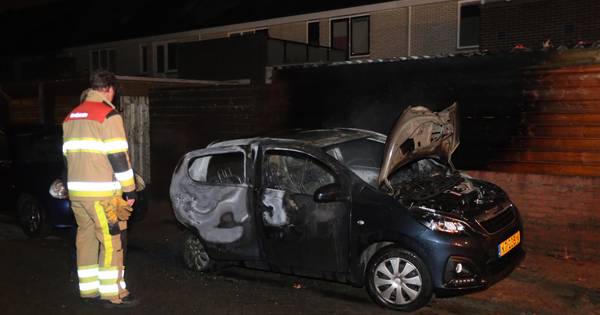Auto gaat in vlammen op in Waardenburg | Bommelerwaard - BD.nl
