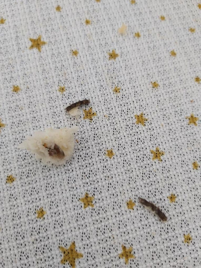 ?appId=21791a8992982cd8da851550a453bd7f&quality=0.9