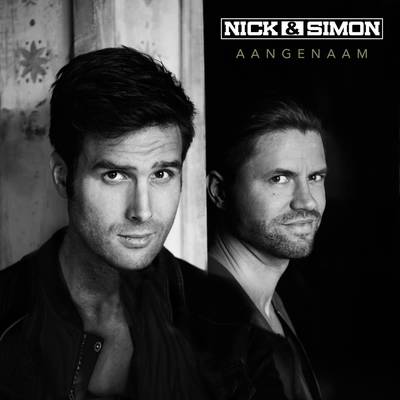 Negende nummer 1-album voor Nick & Simon