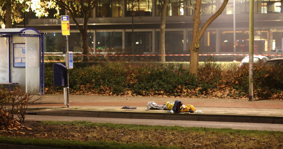 Vrouw met snijwonden in bushalte Zwolle: politie geeft opheldering.