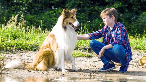 Lassie Come Home