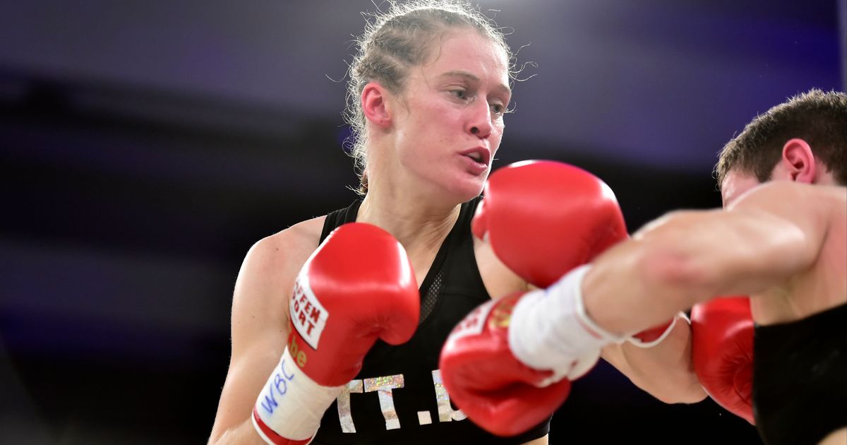 Vlaamse Reus Voor Persoon Vanhaezebrouck Of Vervoort