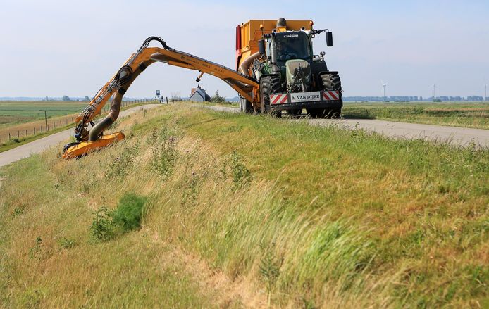 Twee Kontjes Hoog Nee De Dijk Wil Z N Gras Kort En Pittig Rotterdam Ad Nl Van schrik gaf ze een gil, en keek eens om zich heen ze zag de boerenzoon die snel z'n hulp verleend hij pakte vlug haar hand die o zo pijnlijk was ze gingen samen zitten, daar in 't malse gras. dijk wil z n gras kort en pittig