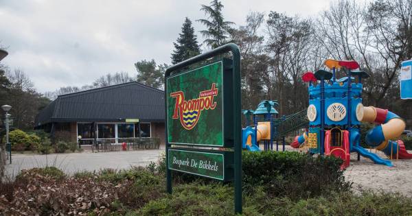 Nieuw jaar, nieuw hoofdpijndossier: De Bikkels in Vlierden - Eindhovens Dagblad