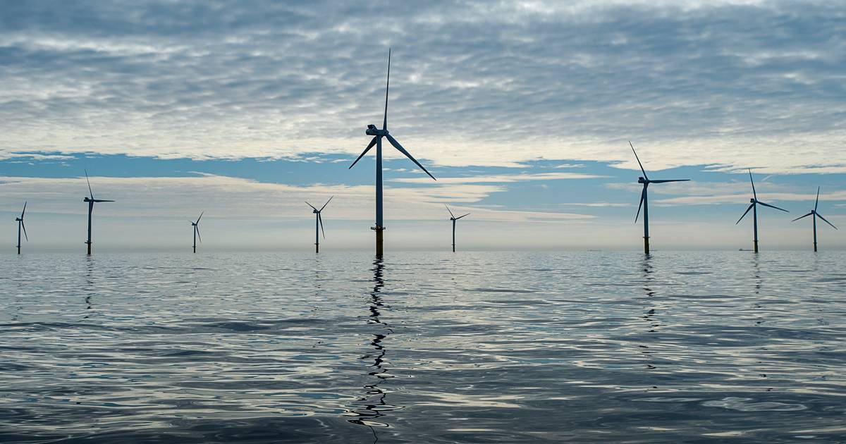 Consumentenbond in zee met energieleverancier die dikke onvoldoende scoort in eigen ranking - De Gel