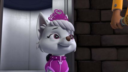 18. Pups redden een Concert & Pups redden de Vriendjes van de Prinses