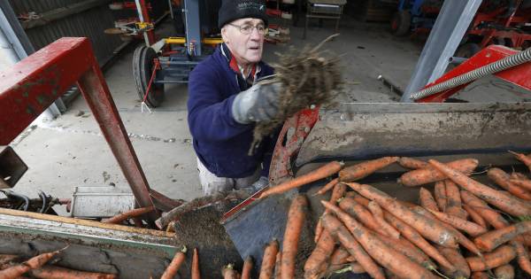 320 ton aan toekomstige babyvoeding uit Hemmen over de lopende band