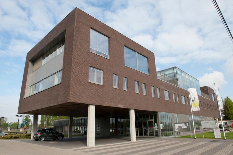 Gemeente redt het prima op haar eentje Wichelen Regio HLN