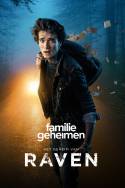 boxcover van Familiegeheimen: Het Geheim van Raven