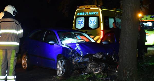 Auto botst tegen boom in Beerzerveld | Ommen - De Stentor