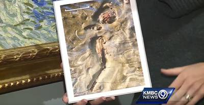 Sprinkhaan gevonden in schilderij Van Gogh