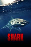 boxcover van Shark