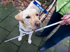 Dankzij deze vinding kunnen blinden niet alleen stipjes, maar ook vormen zien