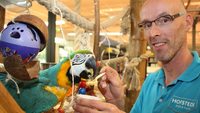 Papegaai Arie Is Waarschijnlijk Een Kerel Den Haag Ad Nl